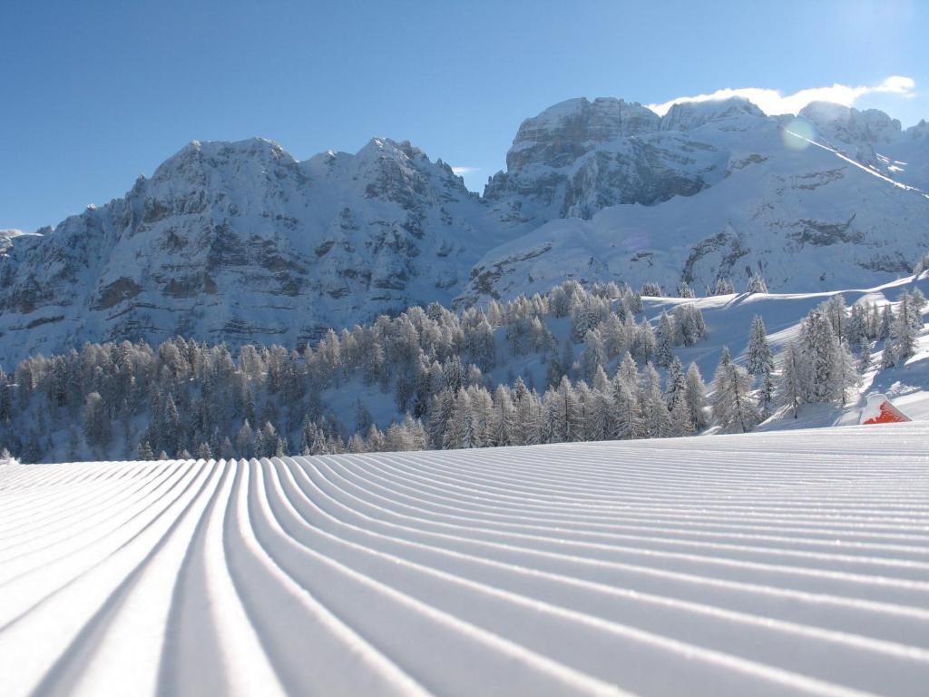 Chalet Fiocco Di Neve Pinzolo Exterior foto